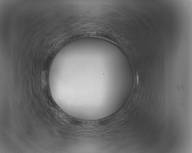 X0000077331347200610200904