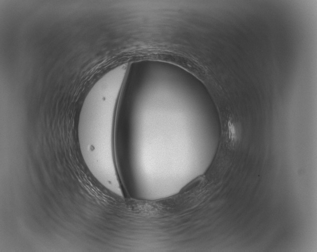 X0000077331348200610200904