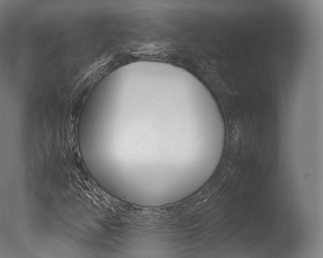 X0000077331350200610200904