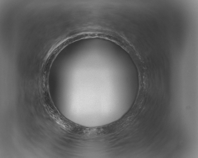 X0000077331352200610200904