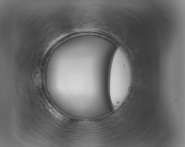X0000077331356200610200904