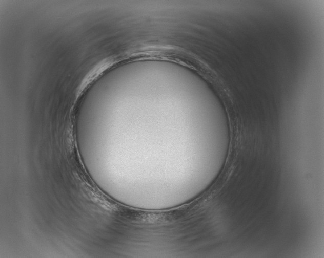 X0000077331362200610200904