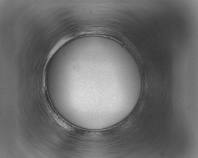 X0000077331370200610200904