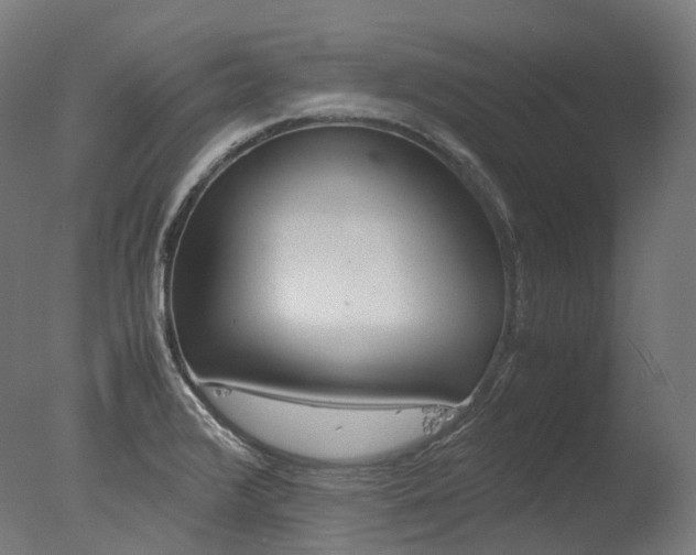 X0000077331376200610200904