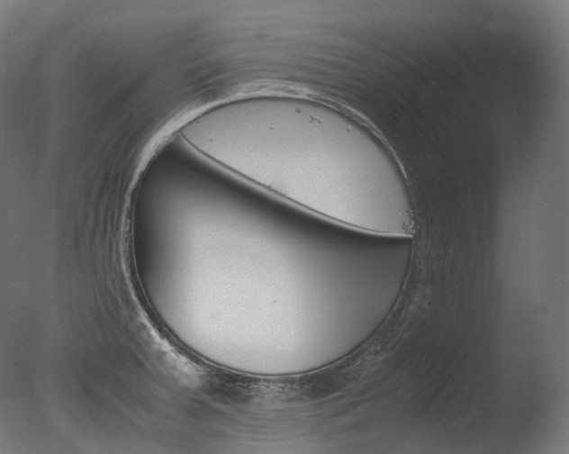 X0000077331379200610200904