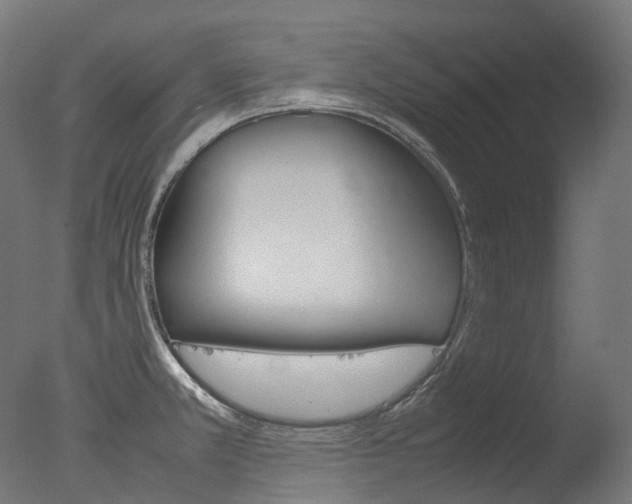 X0000077331381200610200903