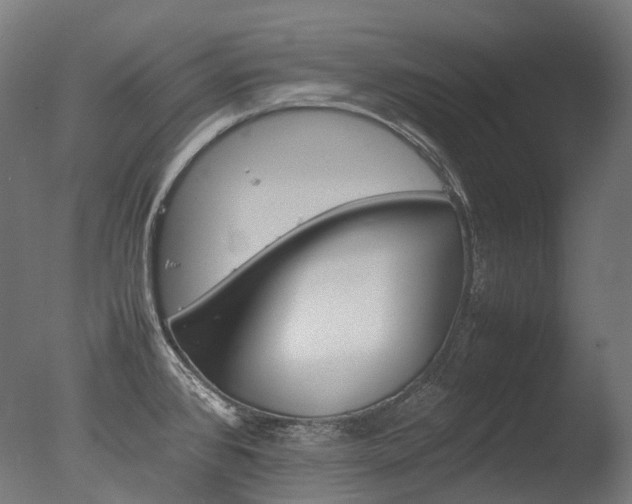 X0000077331384200610200903