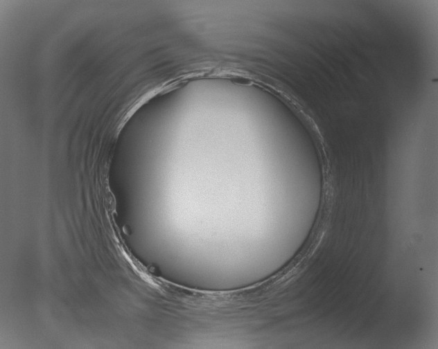 X0000077331385200610200903