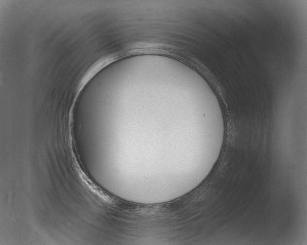 X0000077331386200610200903