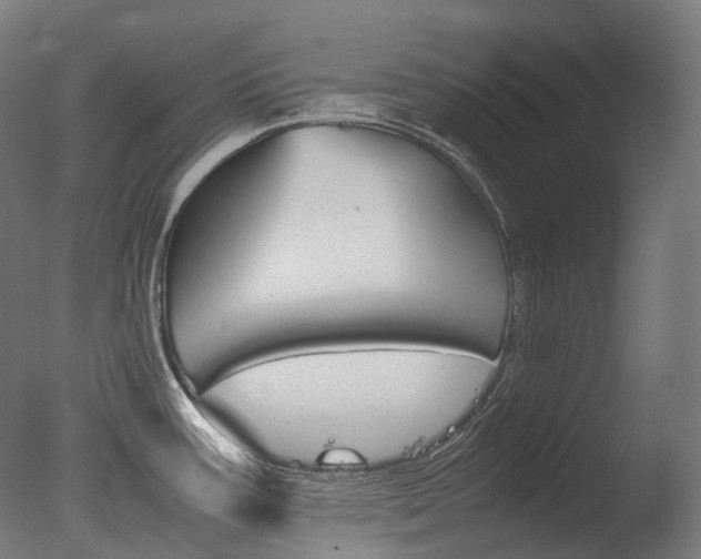 X0000077331387200610200903