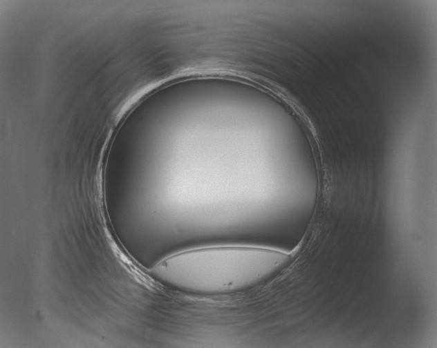 X0000077331388200610200903