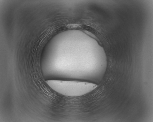 X0000077331393200610200902