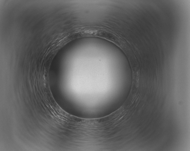 X0000077331394200610200903