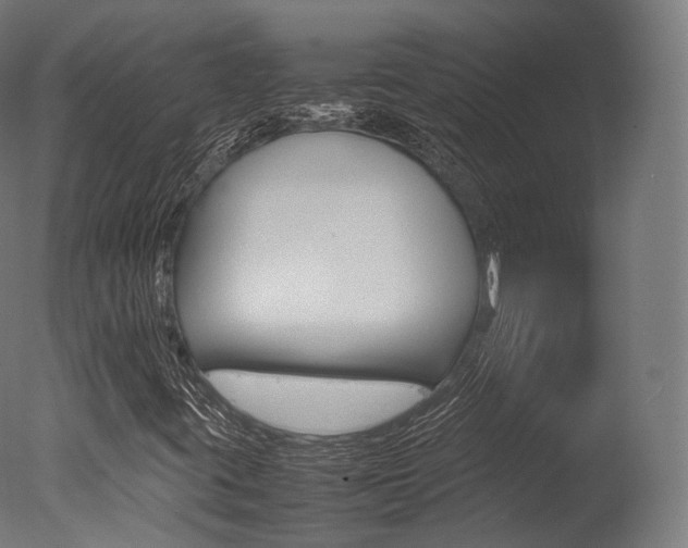 X0000077331395200610200903