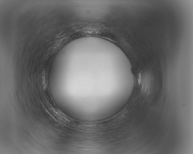 X0000077331396200610200903