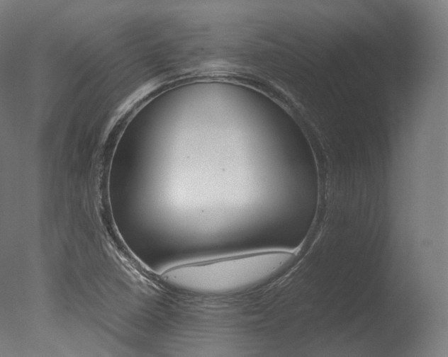 X0000077331410200610200903