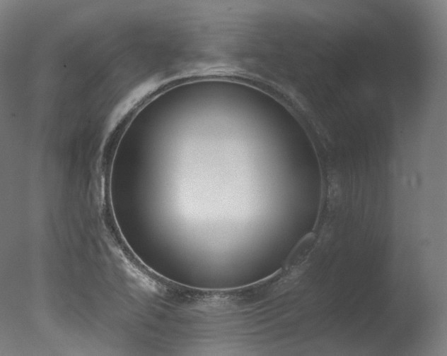 X0000077331414200610200903