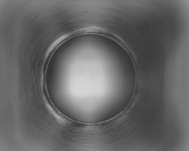 X0000077331418200610200903