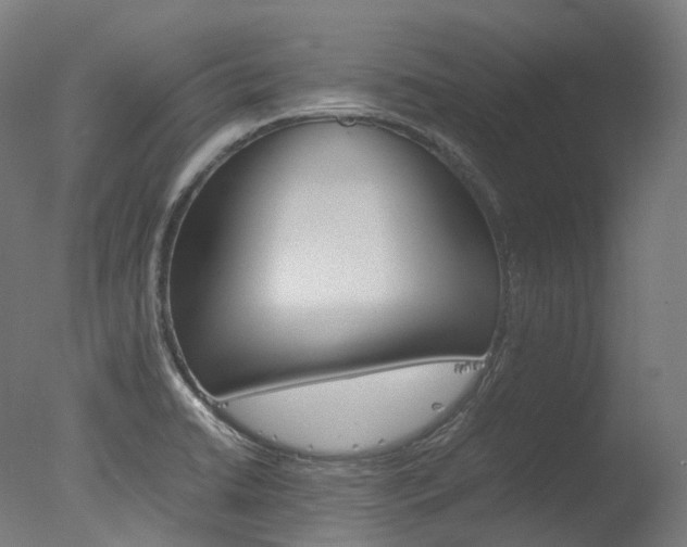 X0000077331422200610200903