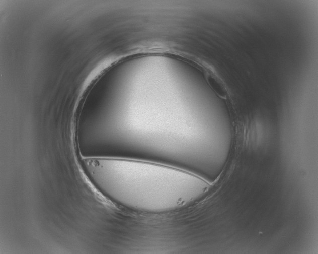 X0000077331424200610200903