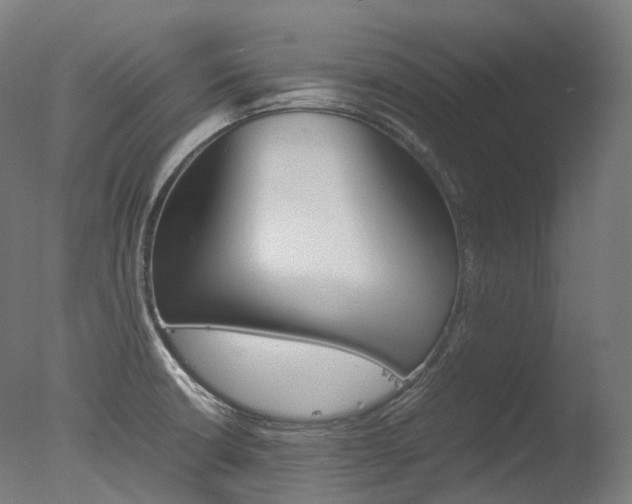 X0000077331426200610200903