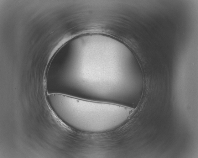 X0000077331428200610200903