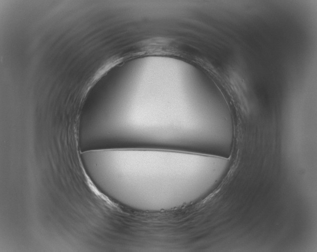 X0000077331433200610200903