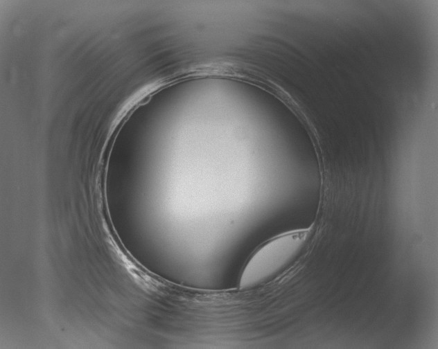 X0000077331434200610200903