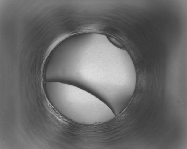 X0000077331435200610200903