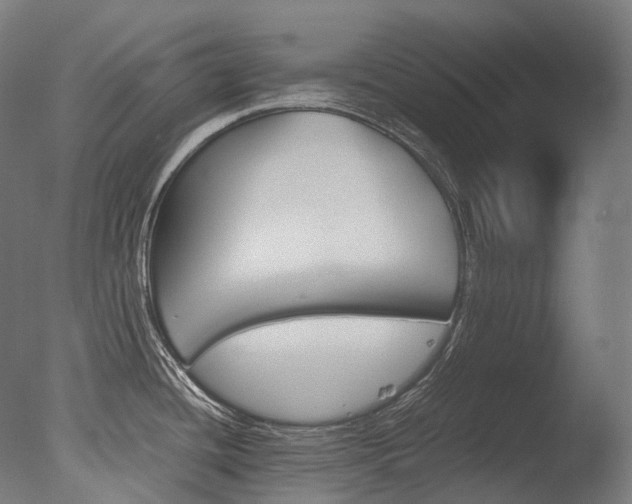 X0000077331436200610200903