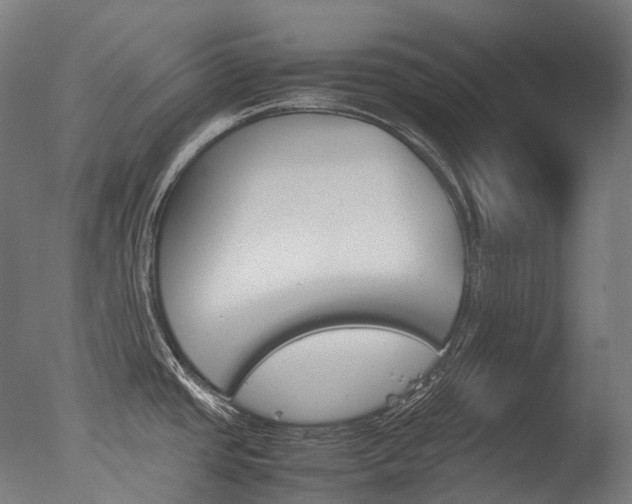 X0000077331437200610200903