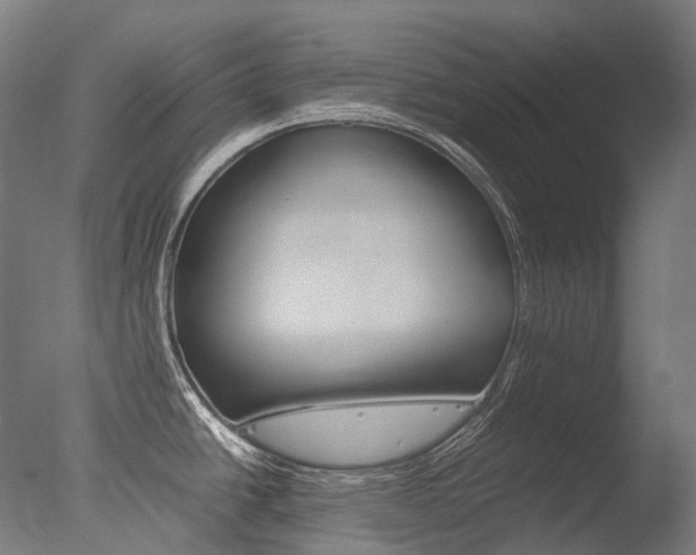 X0000077331438200610200903