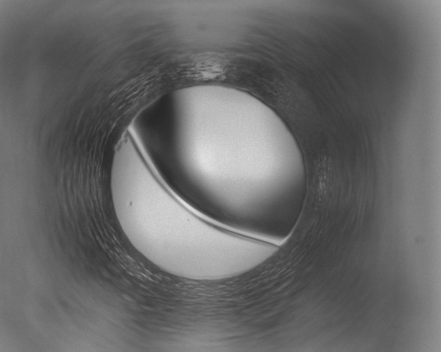 X0000077331442200610200902