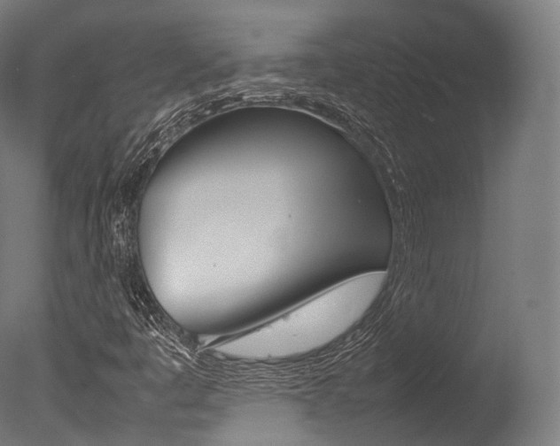X0000077331445200610200902