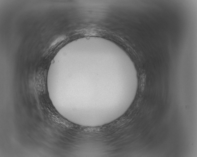X0000077331446200610200902