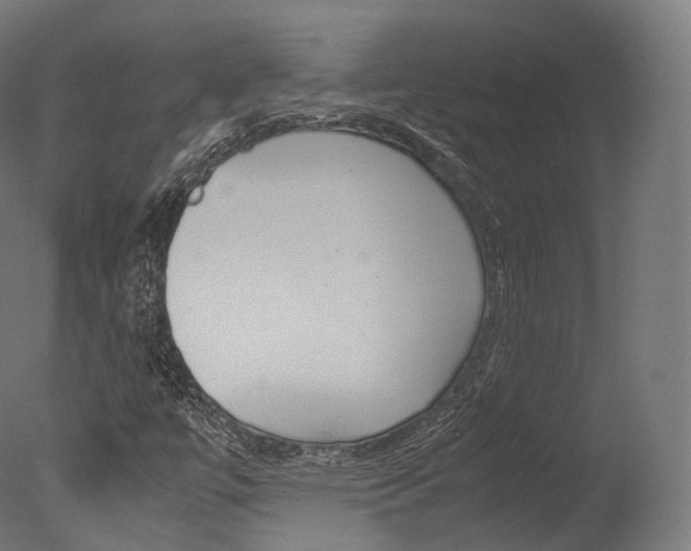 X0000077331447200610200902