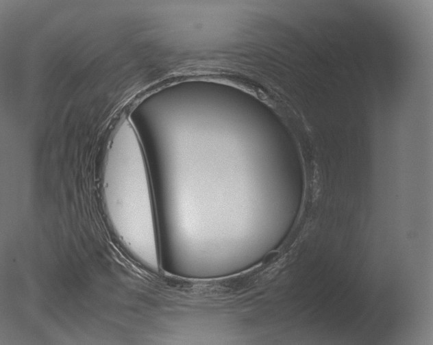 X0000077331449200610200902