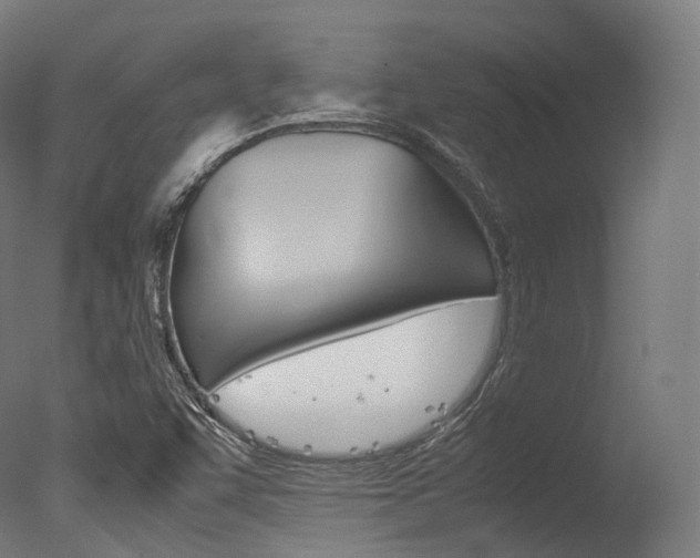 X0000077331455200610200902