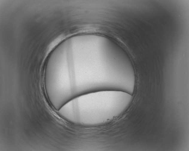 X0000077331467200610200902