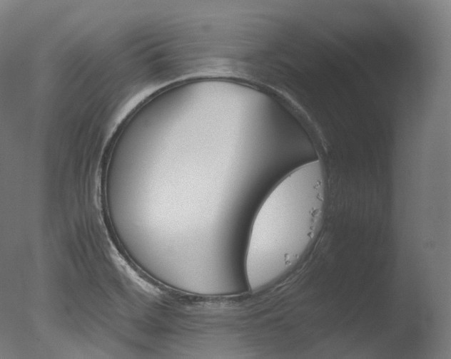 X0000077331468200610200902