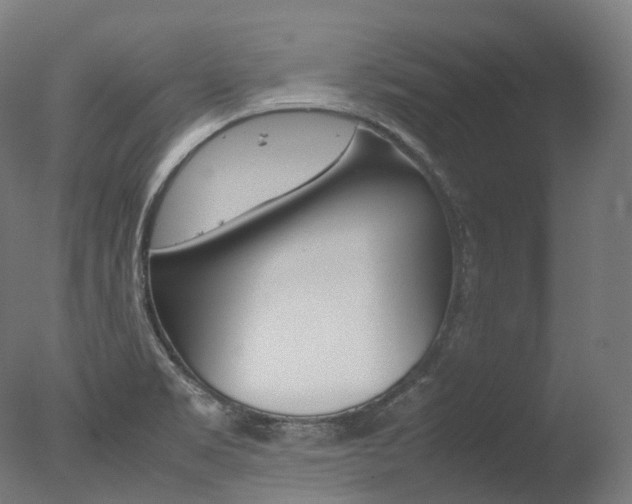 X0000077331469200610200902