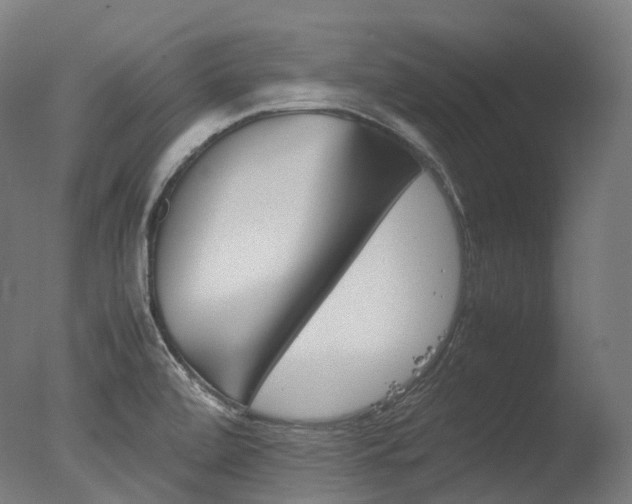 X0000077331472200610200902