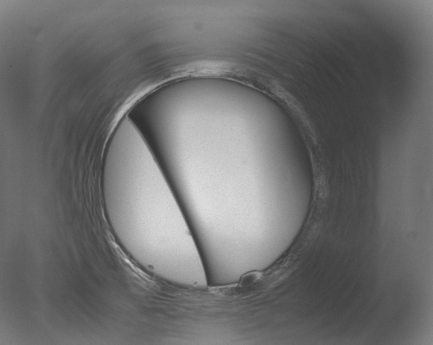 X0000077331473200610200902