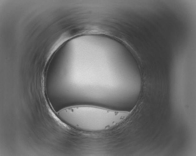 X0000077331476200610200902