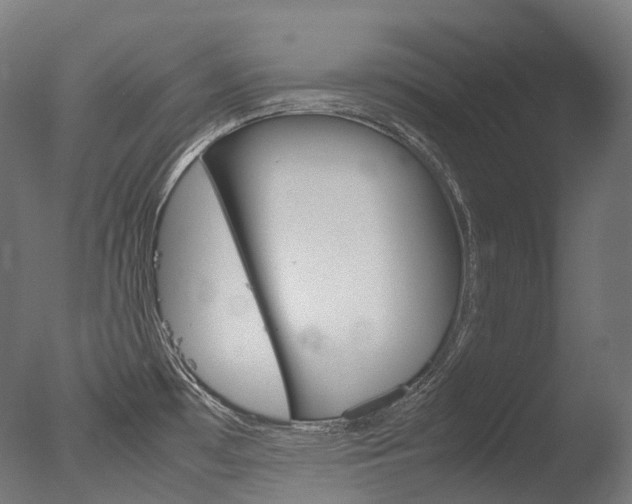 X0000077331481200610200902