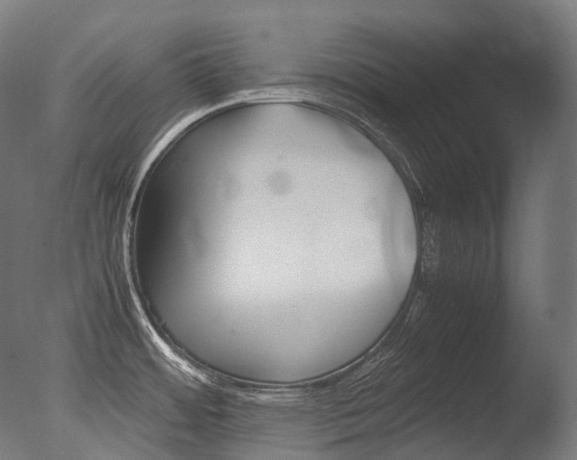 X0000077331484200610200901