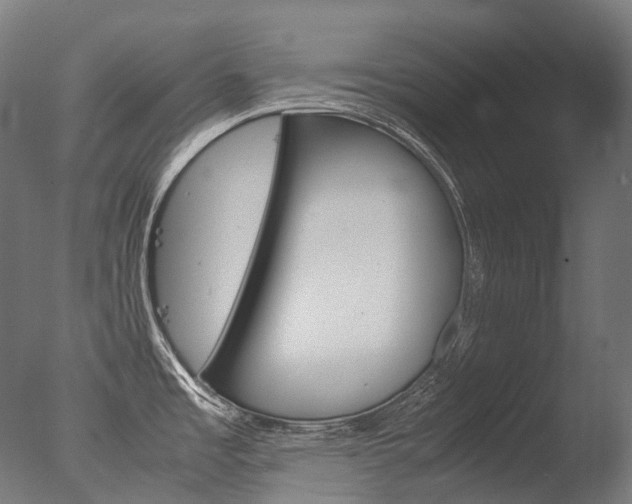 X0000077331485200610200901