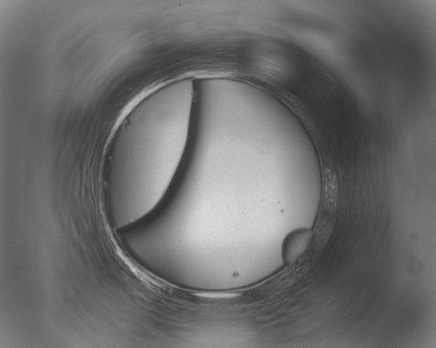 X0000077331487200610200901