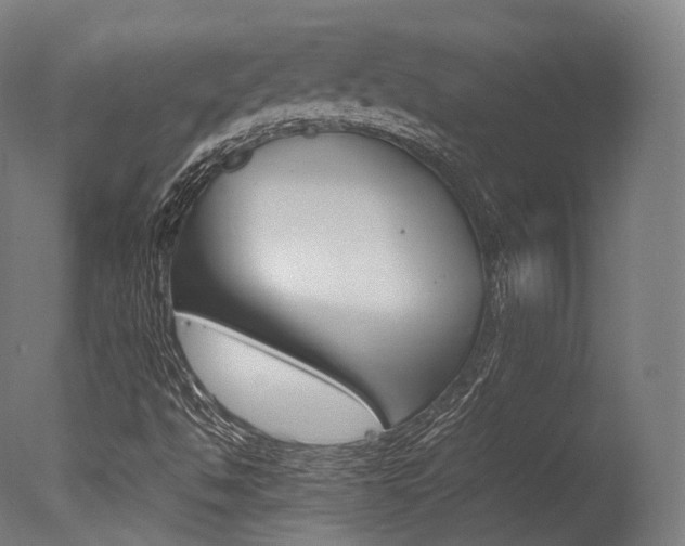 X0000077331494200610200900