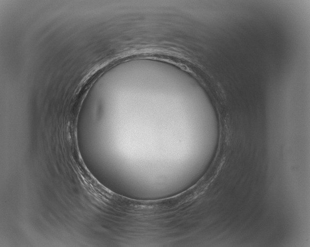 X0000077331497200610200900